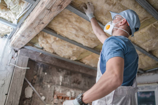 Best Insulation for Specific Applications in Rainbow Springs, FL