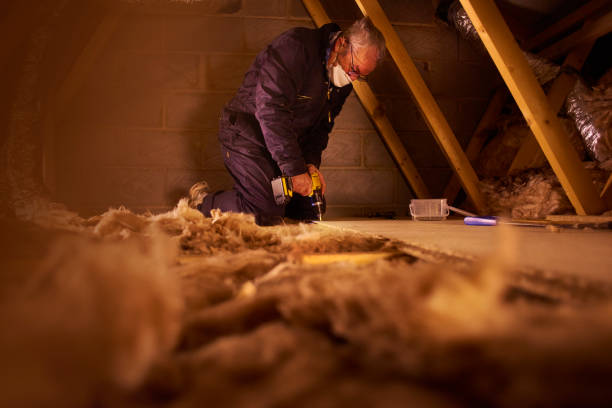 Best Insulation Maintenance and Repair in Rainbow Springs, FL